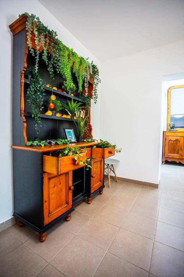 Villa Provence-Spa&Bbq Centre Au Calme- Jardin - Terrasses ラ・ヴァレット＝デュ＝バール エクステリア 写真